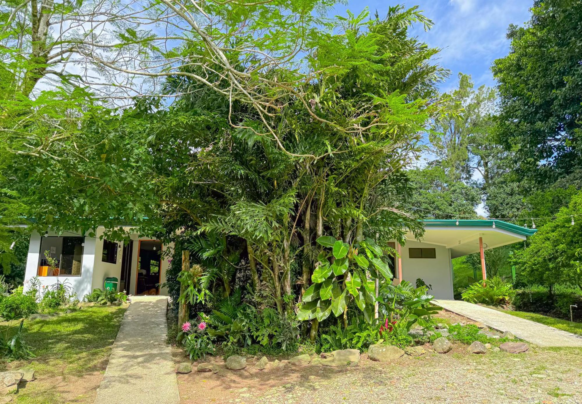 Casa Rayo De Luna Monteverde Εξωτερικό φωτογραφία