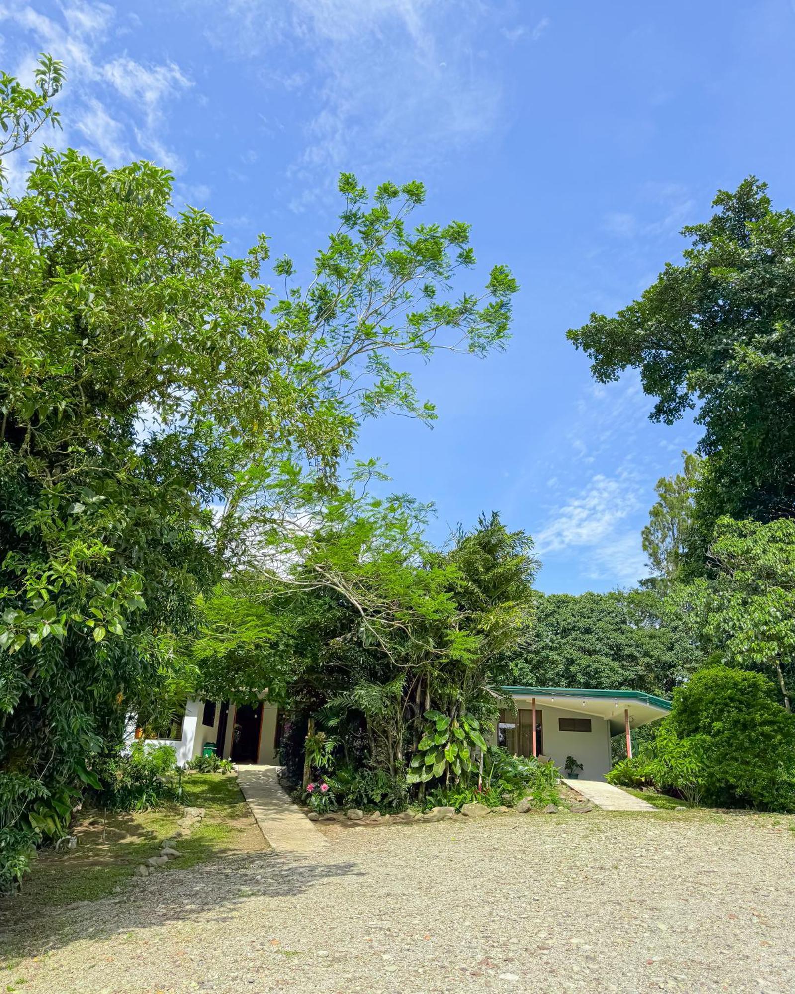 Casa Rayo De Luna Monteverde Εξωτερικό φωτογραφία